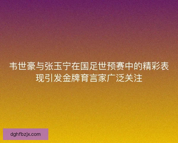 韦世豪与张玉宁在国足世预赛中的精彩表现引发金牌育言家广泛关注