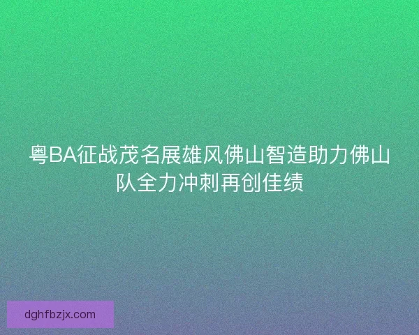 粤BA征战茂名展雄风佛山智造助力佛山队全力冲刺再创佳绩